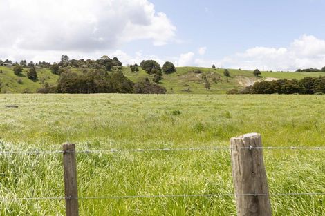 Photo of property in 139 Poyner Road, Ararua, Matakohe, 0594