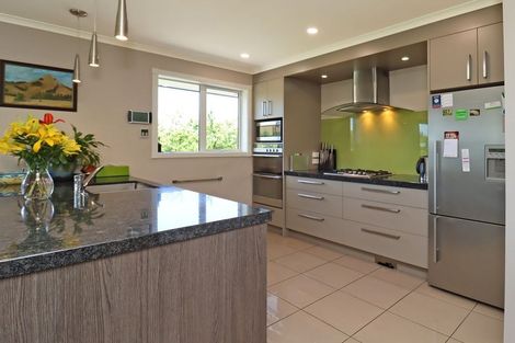 Photo of property in 19 Blue Stone Drive, Waiareka Junction, Oamaru, 9401