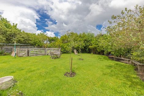 Photo of property in 117 Harrison Street, Whanganui, 4500