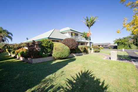 Photo of property in 15 Walton Place, Ngatea, 3503