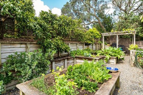 Photo of property in 14 Macky Avenue, Devonport, Auckland, 0624