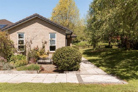 Photo of property in 14 Nga Parae Road, Oropi, Tauranga, 3173