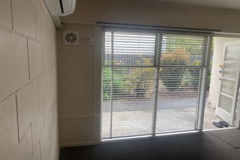 Photo of property in 9 Esplanade Road, Mount Eden, Auckland, 1024
