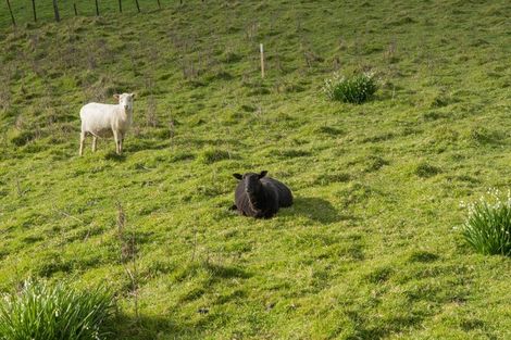 Photo of property in 1102 No 2 Road, Te Ranga, Te Puke, 3182