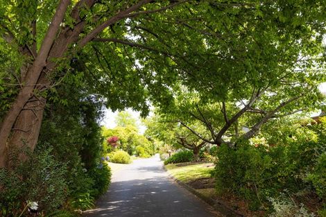 Photo of property in 806e Williams Street, Mahora, Hastings, 4120