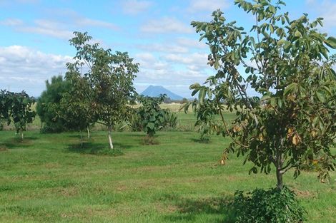 Photo of property in 324 Greig Road, Matata, Whakatane, 3194