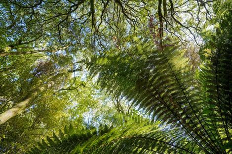 Photo of property in 90 Marama Avenue South, Otatara, Invercargill, 9879