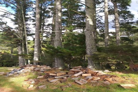 Photo of property in 375 Hot Springs Road, Tahawai, Katikati, 3178