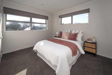 Photo of property in 6 The Willows, Hillmorton, Christchurch, 8024