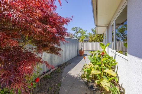 Photo of property in 4a Nikau Street, Taradale, Napier, 4112