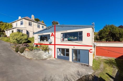 Photo of property in 6 Ann Street, Roslyn, Dunedin, 9010