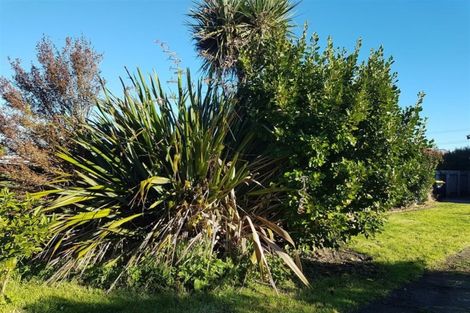 Photo of property in 153 Romilly Street, Westport, 7825