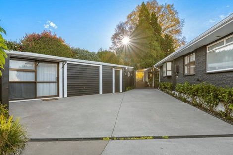 Photo of property in 111 Boucher Avenue, Te Puke, 3119