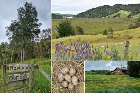 Photo of property in State Highway 12, Paparoa, Maungaturoto, 0583