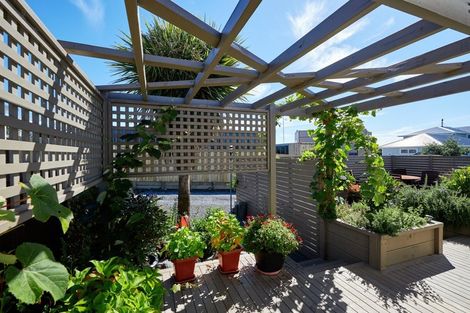 Photo of property in 234c Beach Road, Kaikoura, 7300