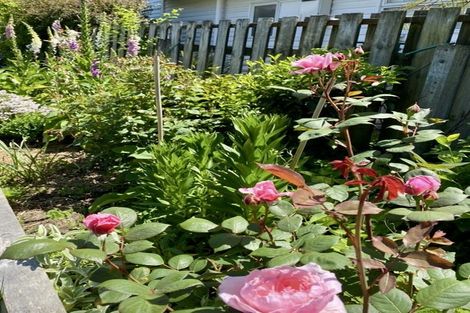 Photo of property in 8 Cooper Street, Lansdowne, Masterton, 5810