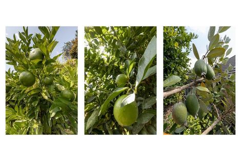 Photo of property in 132 Castlewold Drive, Bethlehem, Tauranga, 3110