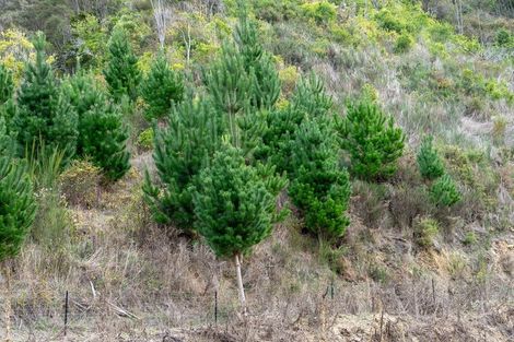 Photo of property in 266 Wairoa Gorge Road, Wairoa Valley, Brightwater, 7091