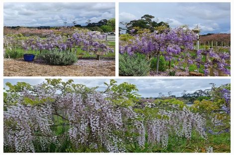 Photo of property in 128e Mauku Road, Patumahoe, Pukekohe, 2678