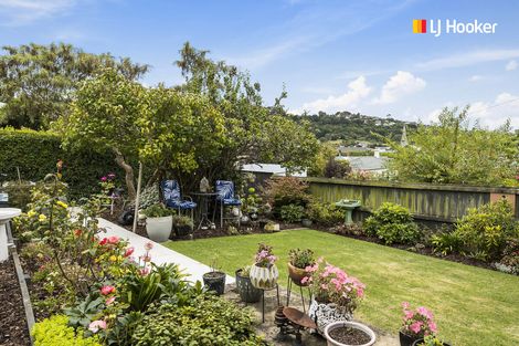 Photo of property in 61 Hazel Avenue, Caversham, Dunedin, 9012