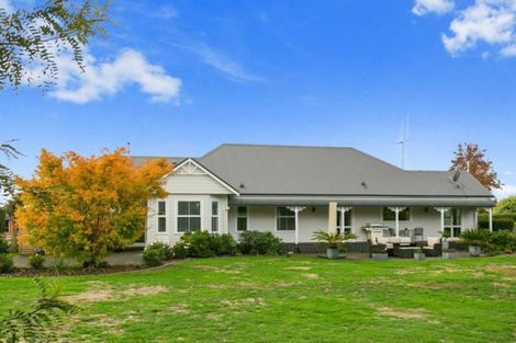 Photo of property in 78 Amelia Place, Leamington, Cambridge, 3432