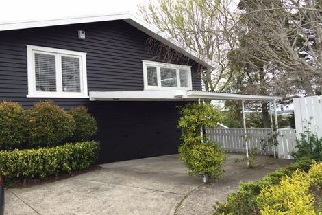 Photo of property in 19 Sunnynook Road, Forrest Hill, Auckland, 0620