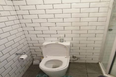 Photo of property in 133 Britomart Street, Berhampore, Wellington, 6023