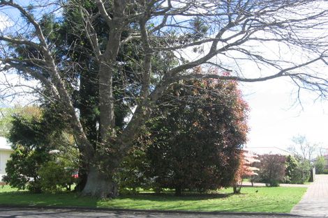 Photo of property in 43 Western Street, Matamata, 3400