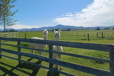 Photo of property in 312 Clayton Road, Ashwick Flat, Fairlie, 7987