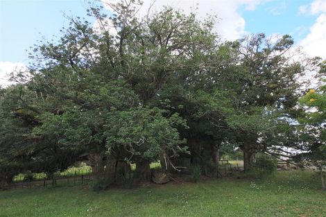 Photo of property in 186 Horeke Road, Okaihau, 0475