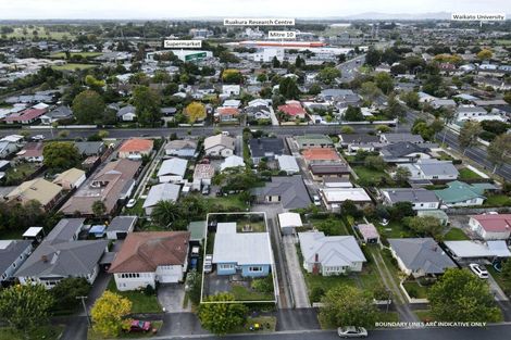 Photo of property in 6 Bell Street, Hamilton East, Hamilton, 3216