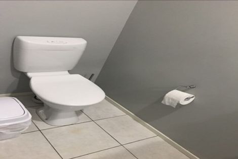 Photo of property in 438e Tristram Street, Whitiora, Hamilton, 3200