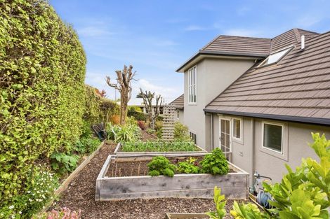 Photo of property in 26 Evans Street, Opoho, Dunedin, 9010