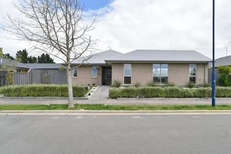 Photo of property in 5 Puriri Street, Pegasus, 7612