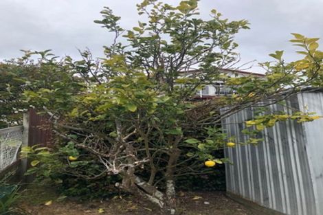 Photo of property in 1 Motuketekete Avenue, Army Bay, Whangaparaoa, 0930