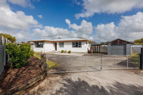 Photo of property in 26 Ferndale Place, Feilding, 4702