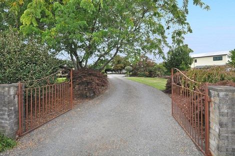 Photo of property in 1146 Crozier Street, Pirongia, 3802