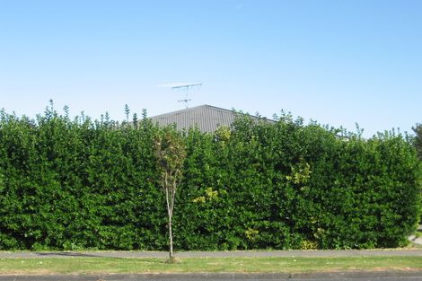 Photo of property in 5 Mill Road, Te Hapara, Gisborne, 4010