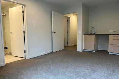 Photo of property in Vsp South, 1103/166 Victoria Street, Te Aro, Wellington, 6011