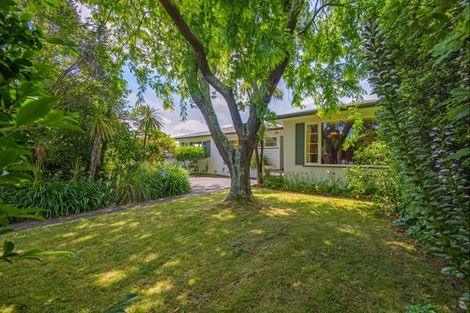 Photo of property in 41 Saint Albans Avenue, Hokowhitu, Palmerston North, 4410