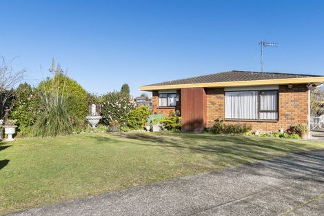 Photo of property in 161a Boucher Avenue, Te Puke, 3119