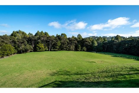 Photo of property in 217 Taylor Road, Waimauku, 0882