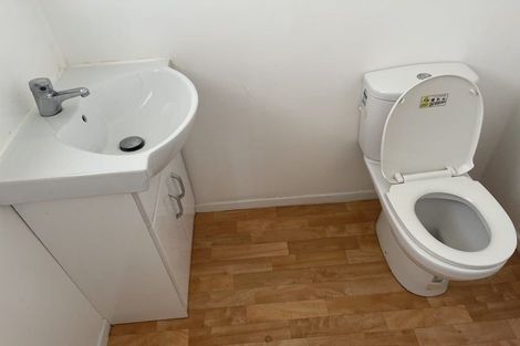 Photo of property in 20 Trojan Crescent, New Lynn, Auckland, 0600