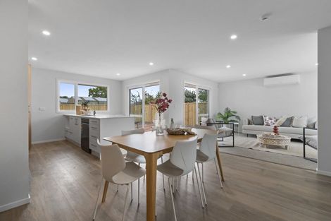 Photo of property in 20a Denbigh Street, Feilding, 4702