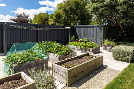 Photo of property in 26 Graham Street, Blenheim, 7201