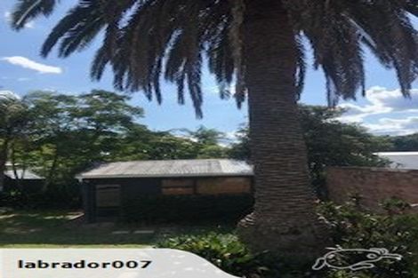 Photo of property in 38 Edgars Road, Westmere, Auckland, 1022