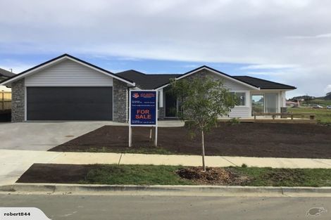 Photo of property in 17 Peter Bourne Drive, Pokeno, 2402