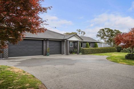 Photo of property in 8 Astelia Drive, Omokoroa, 3114