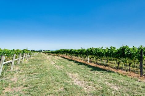 Photo of property in 238 Stock Road, Bridge Pa, Hastings, 4175