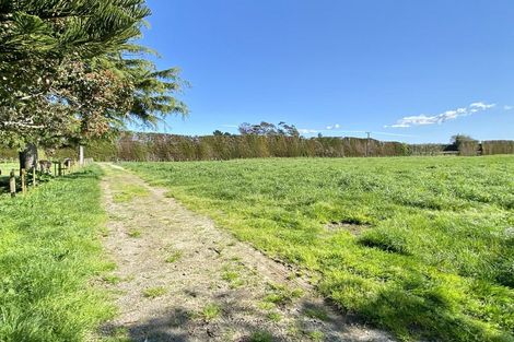 Photo of property in 207 Black Road, Paengaroa, Te Puke, 3189